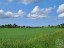 Продажа земельного участка Мурилово