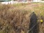 Продажа земельного участка Можайск, Старое Село, к.ело
