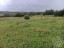 Продажа земельного участка Торошковичи