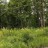 Продажа земельного участка Приозерск, Ленинградская