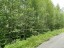 Продажа земельного участка Моторное