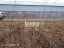 Продажа земельного участка Колчаново