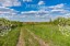 Продажа земельного участка Солнечногорск