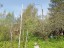 Продажа земельного участка Красное Село