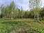 Продажа земельного участка Лопухинка