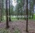 Продажа земельного участка Красногорск