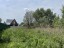 Продажа земельного массива Раменское, Гостица, Ясная, 98