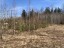 Продажа земельного участка Сосновый Бор