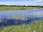 Продажа земельного массива Ручьи, Речная