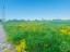 Продажа земельного участка Слапи