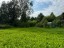 Продажа земельного участка Красное Село, к.ело