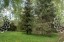 Продажа земельного участка Дмитров, Космынка