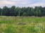 Продажа земельного участка Рюмки