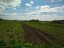 Продажа земельного участка Рабитицы