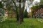 Продажа земельного участка деревня Десна