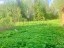 Продажа земельного участка Восход(п.Селезнево), к.нт.