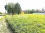 Продажа земельного участка Денисово