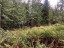 Продажа земельного участка Моторное п ДПК Пригородное