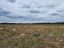 Продажа земельного массива Лесное