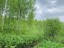 Продажа земельного участка Назия