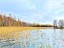 Продажа земельного участка Торфяное п ДНП ЛЭМ