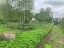 Продажа земельного участка Пальцево, Озёрная