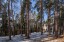 Продажа земельного участка Истра, Урожай-1