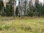 Продажа земельного массива Истра