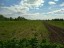 Продажа земельного участка Рабитицы