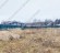 Продажа земельного участка Дмитров, Рождествено