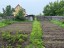 Продажа земельного участка Красногорск, Степановское