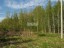 Продажа земельного участка Понтонный, Колпинская, уч. 20