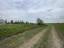 Продажа земельного участка Дятлицы