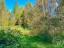 Продажа земельного участка Турово