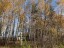 Продажа земельного участка Пушкино, Клязьма, Костомаровская