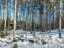 Продажа земельного участка Речное