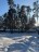 Продажа земельного массива Всеволожск, Алексеевский, 116