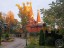 Продажа земельного участка Юкки, Ленинградское, 62 литер Д