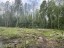 Продажа земельного участка Ларионово, Ольховая