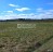 Продажа земельного массива Старый Бор