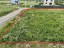 Продажа земельного участка Келози