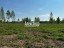 Продажа земельного участка Пога