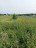 Продажа земельного участка Кравцово
