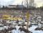 Продажа земельного участка Дмитров, Рыбаки