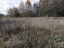 Продажа земельного участка Моровино, Старая Деревня, 6