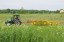 Продажа земельного массива Заостровье