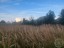 Продажа земельного участка Выра