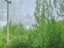 Продажа земельного участка Назия