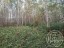 Продажа земельного участка Торковичи, Дудоровская