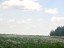 Продажа земельного массива Лампово